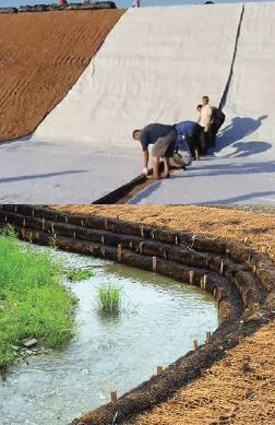 capture d’écran 2025 12 11 192049