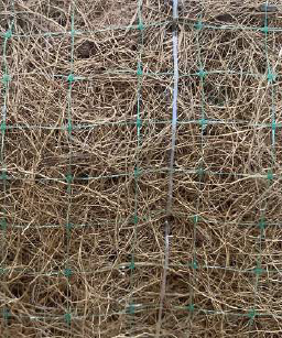 capture d’écran 2025 12 11 211423